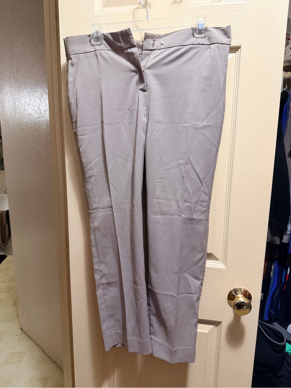Veux Etre XL Taupe Stretch Ankle Pants NWT | Polished Workwear